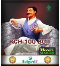 Cotton Kaveri Money Maker BG II